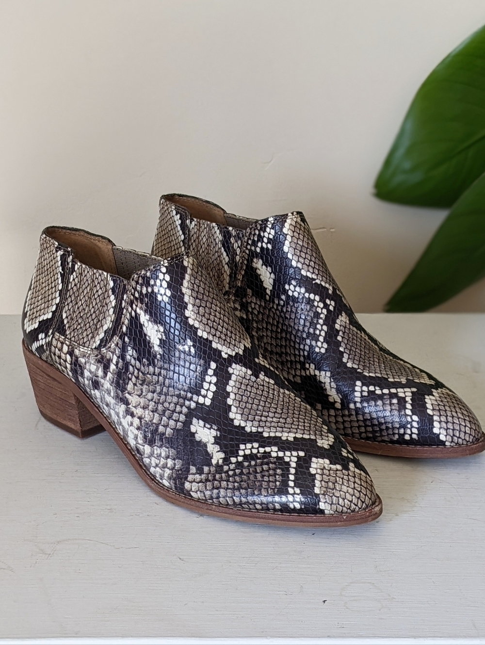 Madewell Sonia Leather Snakeskin Low Chelsea Ankle Boots Booties